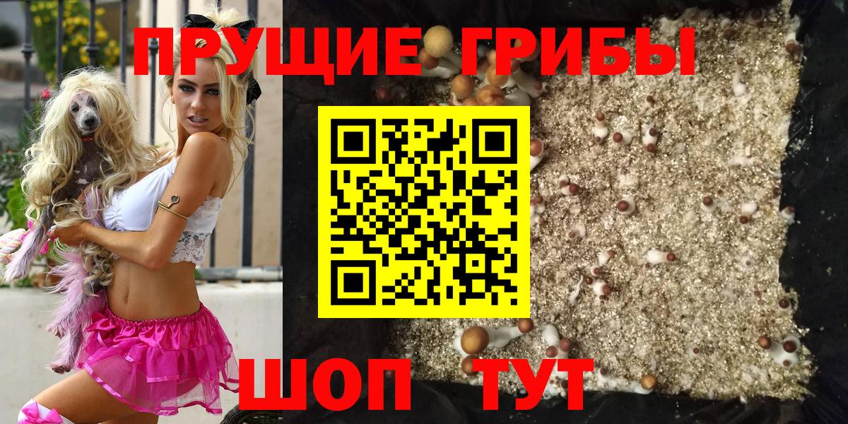 Псилоцибиновые грибы GOLDEN TEACHER Назарово